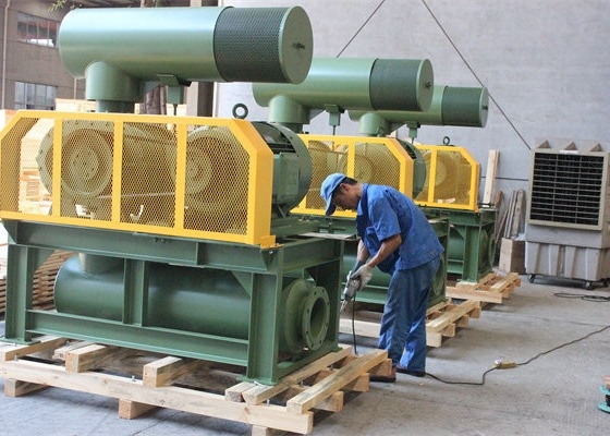10" 80kpa 71.52m3/Min 132kw 주사철 3 로브 루트 블로어