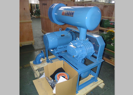 5.5-22kw 작은 뿌리 블로어 압축 기계에 대한 3 로브 주사철