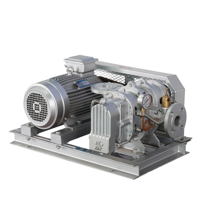 BX100 4'' 3.18-11.74 m3/min 0.1-0.7 kgf/cm2 BX 시리즈 스테인리스 스틸 뿌리 블러