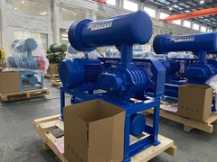 새로운 유형의 수처리 뿌리 송풍기