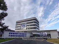 BKD 2단계 뿌리 붓기